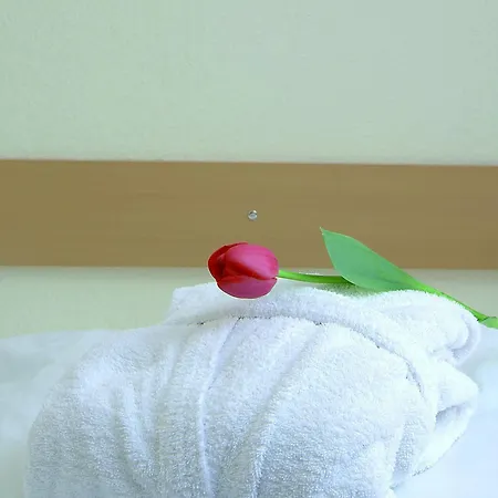 Leipziger Hof 4* Innsbruck