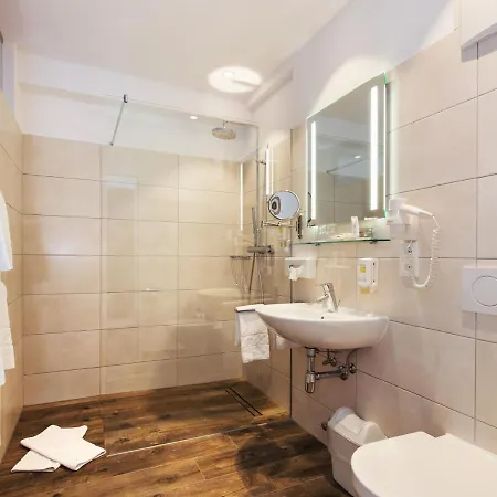 因斯布鲁克莱比锡霍夫酒店 酒店 4*